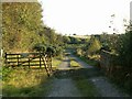 Start of track to Hallsford Farm