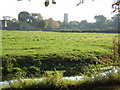 Water Meadows