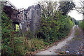 SC3696 : Ruin and lane near Lough Dhoo by Andy Stephenson