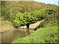 Bridge over Railsgate Pill, Laugharne