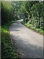 Looking SW along Hay Lane, Ham