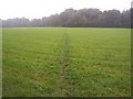 Path to Soal Wood, Froxfield High Cross