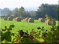 Hay Bales by Burrows Cross