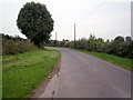 H8852 : Tirmacrannon Road, Loughgall. by P Flannagan