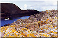 Lichen-covered rocks in Portskerra Harbour