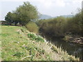 SJ2712 : Afon Hafren (River Severn) at Tirymynach by John Haynes