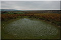 Pool on Llandeilo Hill