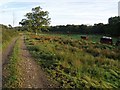 Bridleway from Norleigh Mill