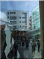 Princesshay window