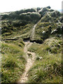 Footpath junction in the dunes