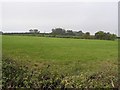 Tirnageeragh Townland