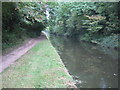 Grand Union Canal near Tring