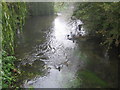 River Wye in Loudwater