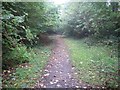 Loudwater: Dismantled railway track through Fennell