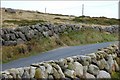 Drystone walls near Annalong