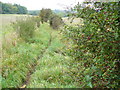 Bridleway to Rowbarns Manor