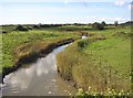 Railsgate Pill, Laugharne