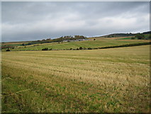 NO6193 : Fields below Tillycroy by Nigel Corby
