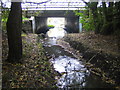 Dorcan Stream in Covingham, Swindon