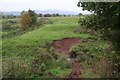 Stream and Grassland, Castlemorton Common