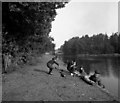 Greatbottom Flash, Basingstoke Canal