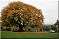 Village Green, Redmire