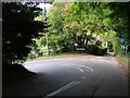 Hairpin bend leading to Flowers Bottom