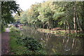 Below Lock No 1, Basingstoke Canal