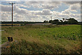 Farm buildings at Great Limber Grange