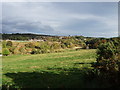 View towards Peterculter