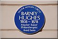J3374 : Barney Hughes plaque, Belfast by Albert Bridge