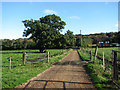 Looking NE towards the A1067 (Fakenham Road)