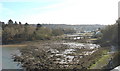 The backwater behind Ynysoedd Gaint and Faelog