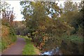 The Lagan towpath, Lisburn (1)