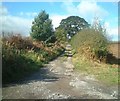 Road to Cophall farm