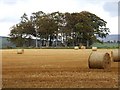 Terry Chapel in autumn