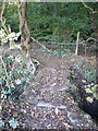 Footbridge Entrance to Widdowson Spring Wood