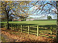 Near Tannington Hall, from driveway