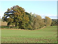 Herefordshire-Worcestershire border