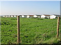 View across field to Greenacres