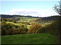 Rhiw Valley from Plasdwpa