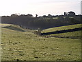 Valley near South Petherwin