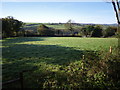 Field at Trevethy