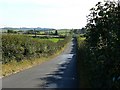 SY8196 : Minor road to Hayward's Farm, near Milborne St Andrew by Brian Robert Marshall