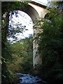 Cartland Bridge from the river below