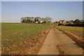 Farm road up to Manor Farm