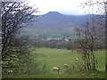 Glenderamackin Valley