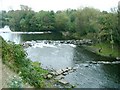 Weirs on the river Tawe