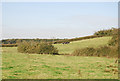 Trek up hill to Donedge Lodge Farm