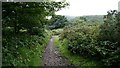 A Cornish Mining Walk